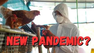 Rising H5N1 Bird Flu Cases Raise Alarm Among Health Officials