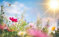 Lenteweer keert eindelijk terug in Spanje met zon en 24 graden | SpanjeVandaag
