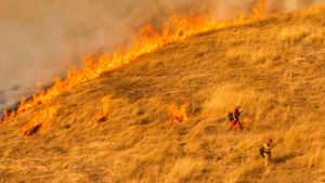 California's Wildfire Crisis Pushes State To The Brink