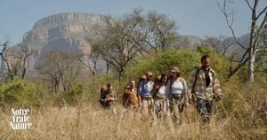 Stars Connect With Nature On Notre Vraie Nature