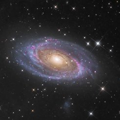 Messier 81