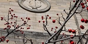 Universities And States Lead Charge On AI Education