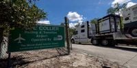 ‘A Human Rights Disaster Waiting To Happen': ‘Alligator Alcatraz’ Is Ripe For Abuse, Experts Warn