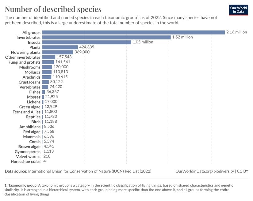 Tanımlanan türlerin sayısı