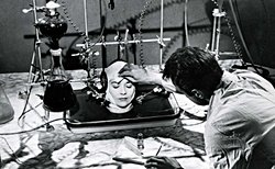 Hayali bir deneyde, sadece beyni bırakılmış(hiçbir uzvu olmayan) bir canlı ne hisseder?