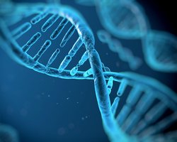 Google DeepMind’den Genetikte Yeni Dönem: AlphaGenome, Hastalıkların DNA Kaynaklarını Yapay Zekâyla Ortaya Çıkarıyor.