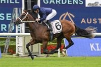 Golden Slipper Field & Odds – 2025