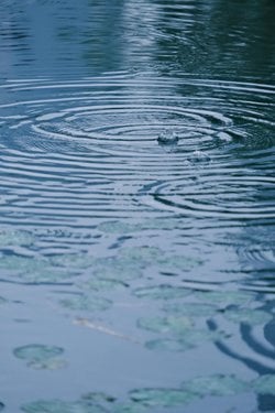 Su neden radyasyondan korur?