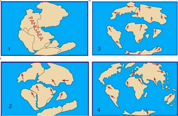 Bkz: kıtaların ayrışma