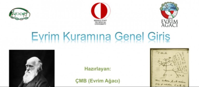 Video Sunumlarımız Geliyor!