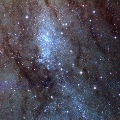 NGC 206'nın Yıldızları