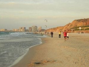 Shark Sightings Close Tel Aviv Beaches Amid Safety Fears