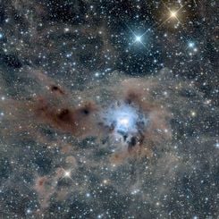  The Iris Nebula in a Field of Dust 