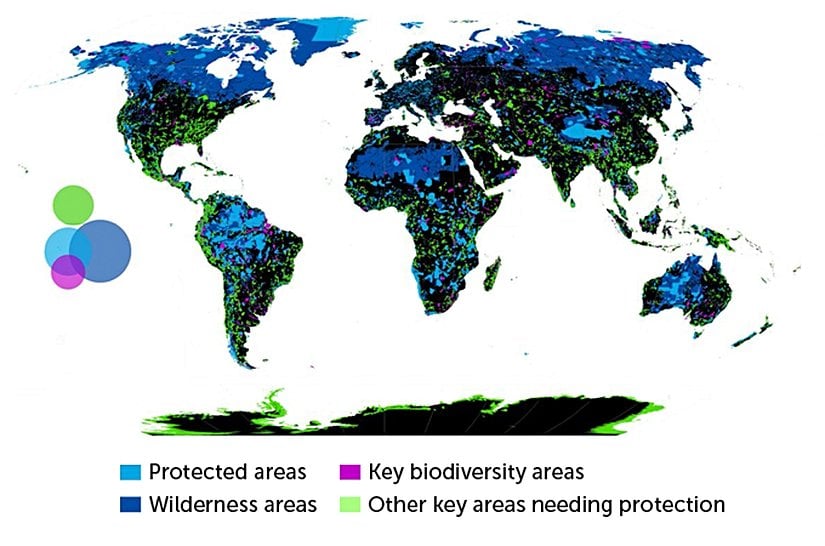 Açık mavi alanlar; korunan alanlar, koyu mavi alanlar; yabanıl alanlar, eflatun renkli alanlar; biyoçeşitliliğin kilit olduğu alanlar, yeşil renkli alanlar ise korunmaya ihtiyaç duyan alanlar.