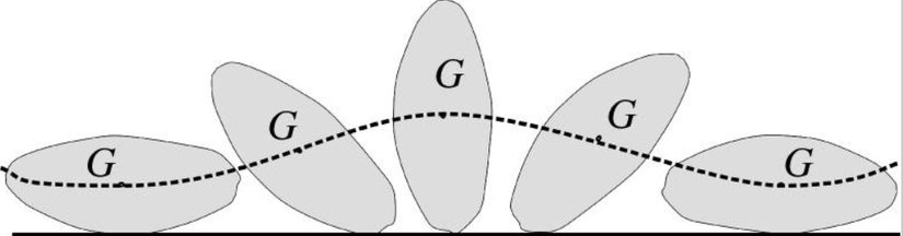 Yatay bir çizgi (düzlem) üzerinde yuvarlanan sert disk, kaplumbağa kabuğunun enine kesitini temsil eder. Kalın-kesikli çizgi, yuvarlanma sırasındaki ağırlık merkezinin (G) yörüngesini gösterir. Yörüngenin ekstremum noktaları, cismin kararlı veya kararsız denge durumlarına karşılık gelir.