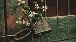 Hayatta kalmayı değil, yaşamayı hak ediyor herkes