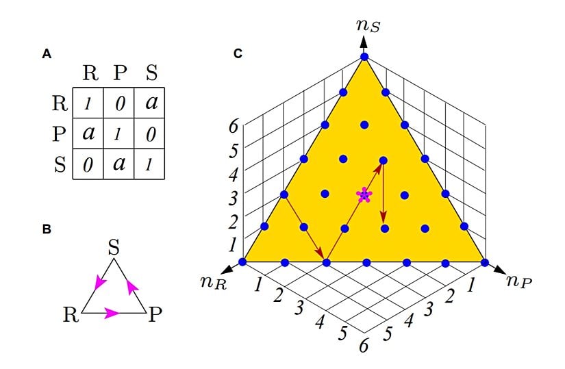 Taş-Kağıt-Makas Oyunu. (A) Her matriks girdisi, satırdaki aksiyonun başarısını gösteriyor. (B) 3 olası tercih arasındaki geçişken olmayan baskınlık ilişkisi (taş makası yener, kağıt taşı yener, makas kağıdı yener). (C) Popülasyon büyüklüğü 6 olan bir grubun sosyal durum düzlemi. Her dolu nokta, bir sosyal duruma işaret eder. Yıldız, düzlemin sentroididir. Oklar, ilk 3 turdaki sosyal durum geçişlerini gösterir.