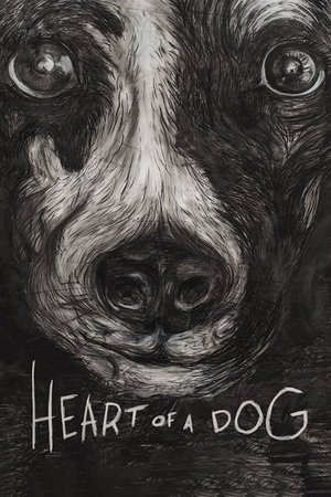 Köpeğin Kalbi