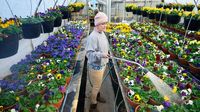 When is the first day of spring? See what Farmer's Almanac predicts for Texas in 2025