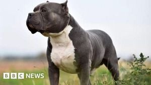 XL Bully Owner Faces Sentencing After Neighbour's Fatal Attack