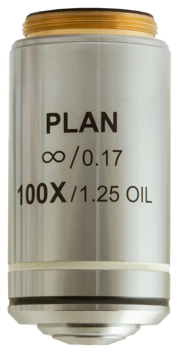 Levenhuk MED 100x Sonsuzluk Düzeltimli Plan Akromatik Objektif