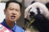 二階俊博の三男・伸康氏　参院選立候補で思わぬ神風　和歌山県に“パンダを取り戻す”父の中国パイプ活用へ（SmartFLASH）｜ｄメニューニュース