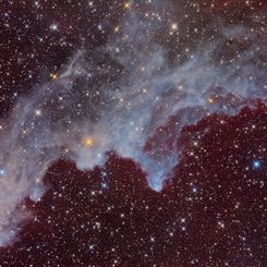 IC 2118: The Witch Head Nebula