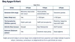 Yenidoğanın İlk Değerlendirmesi: Apgar Skoru Nedir, Nasıl Hesaplanır?