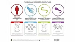 Hayvanlarda Kan Renginin Evrimsel Kökeni ve Adaptif Önemi