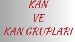 KAN VE KAN GRUPLARININ ÖZELLİKLERİ (BÖLÜM 2)