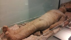 Mumyalama nasıl yapılır ?