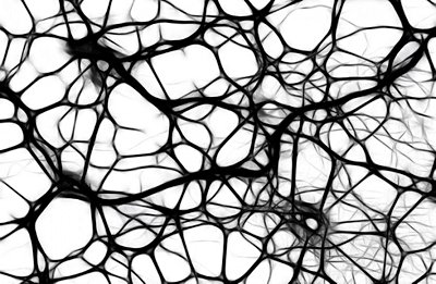 Sinirbilim ve Beyin - 2: Sinir Sisteminde Bulunan Hücrelerin Tipleri