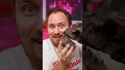 Paranthropus Ne Kadar Zekiydi?