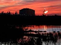 Louisiana judge orders review of Gulf Coast liquefied natural gas facility's climate change impacts