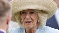 Queen Camilla ‘fought off attacker’