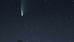 SU AYILARININ DÜNYADA EVRİMLEŞMEDİĞİ TEORİSİ