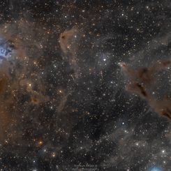  The Iris Nebula in a Field of Dust 