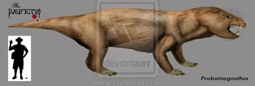 Probainognathus