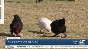 Bird Flu Detected In Horses Raises Pandemic Concerns