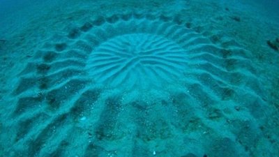 Deniz Altındaki Kumlara Çizilmiş Gizemli 