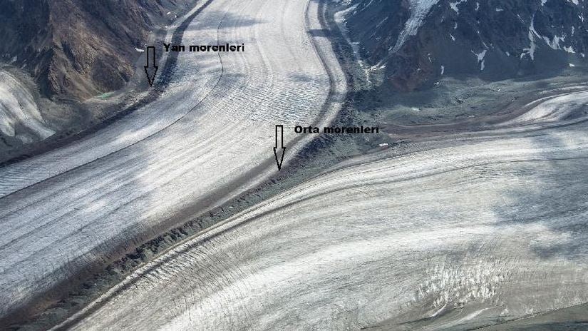 Orta ve yan morenleri gösteren fotoğraf. Yazılar Evrim Ağacı tarafından eklenmiştir.