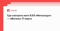 Металлург — Витязь: смотреть онлайн матч 17 марта | Прямая трансляция