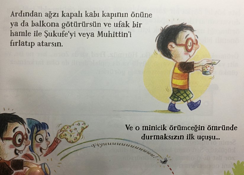 Örümcekleri öldürmeden nasıl yakalayabileceğinizi anlatan görsel.