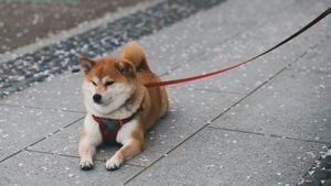 The Rise Of Dogecoin And Shiba Inu Amidst Lightchain AI Innovation