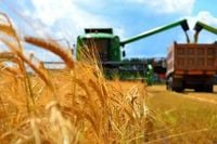 Kazakhstan’s Agriculture Exports Reach 16.1 Mln Tons in 2024 - The Astana Times