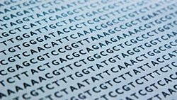 Altıncı Nükleotit: Sitozinin Bilinmeyen Versiyonu, Gözden Kaçan DNA Dizilerini Bulmamızı Sağlayabilir!