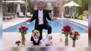 John Legend And Chrissy Teigen Mourn Their Beloved Dog Penny