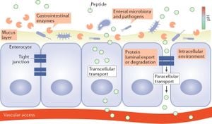 Revolutionary Oral Delivery System Using Engineered Bacteria