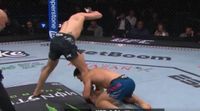 UFC Mexico City Results: Manuel Torres TKO's Drew Dober (Video) | BJPenn.com
