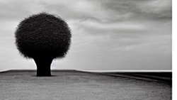 Gecenin sonunda yalnız kalmak.